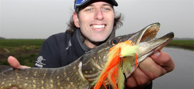 Snoek